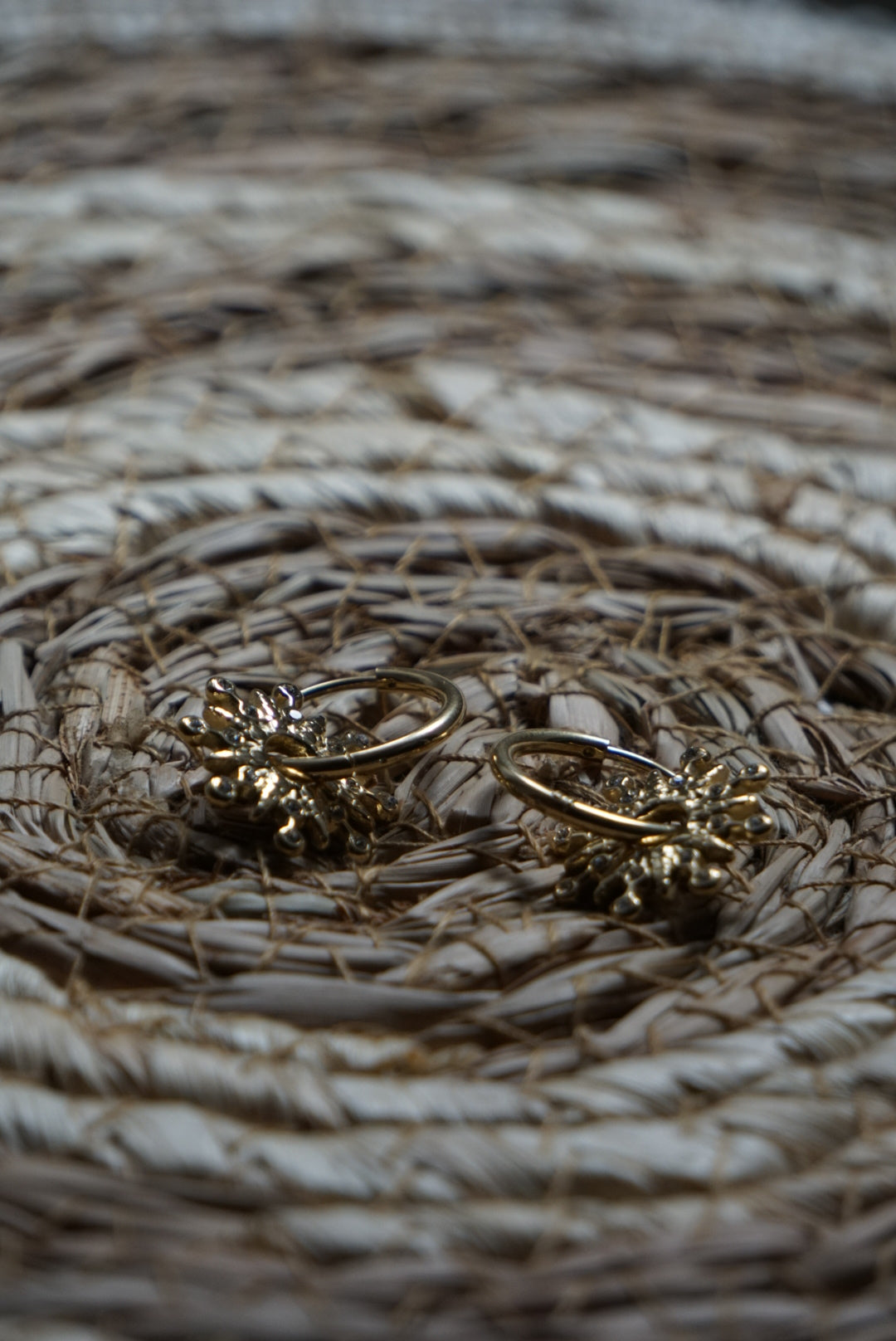 Boucle d’oreille Mira - Doré